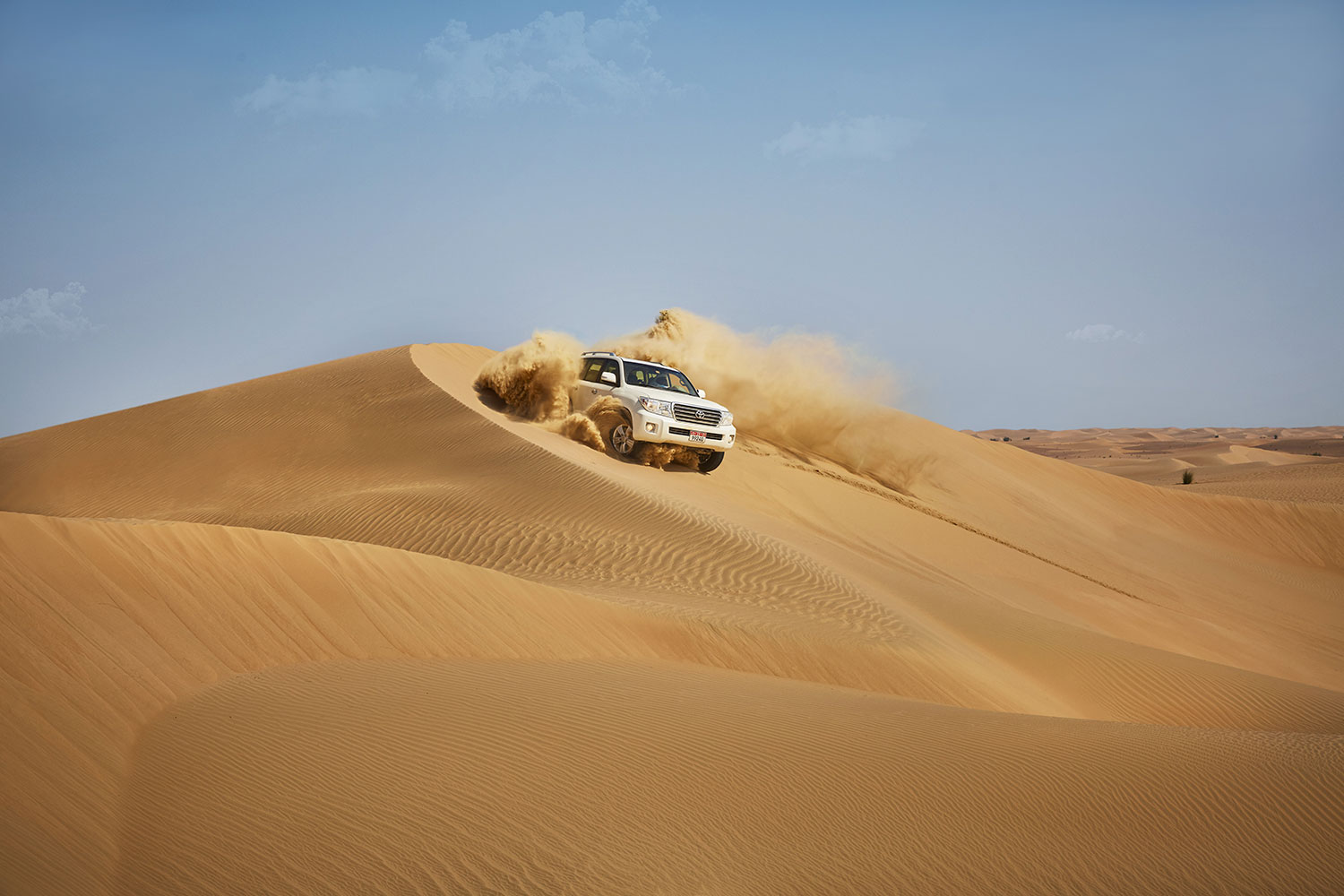 Dubai Desert Safari